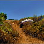 Chemin de garrigue