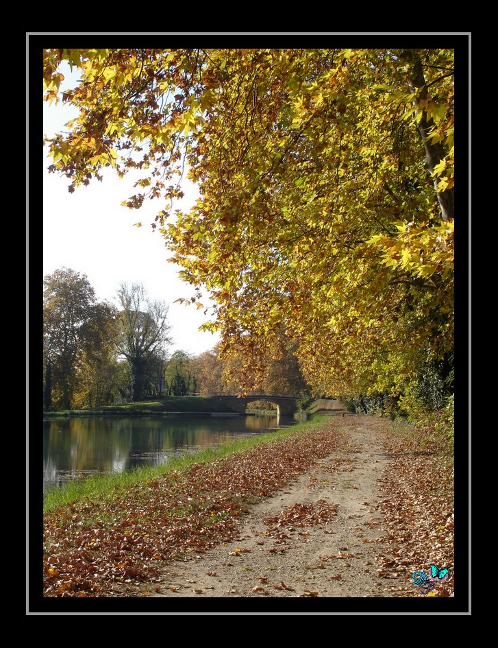 Chemin de halage à Fontet (Gironde-France)