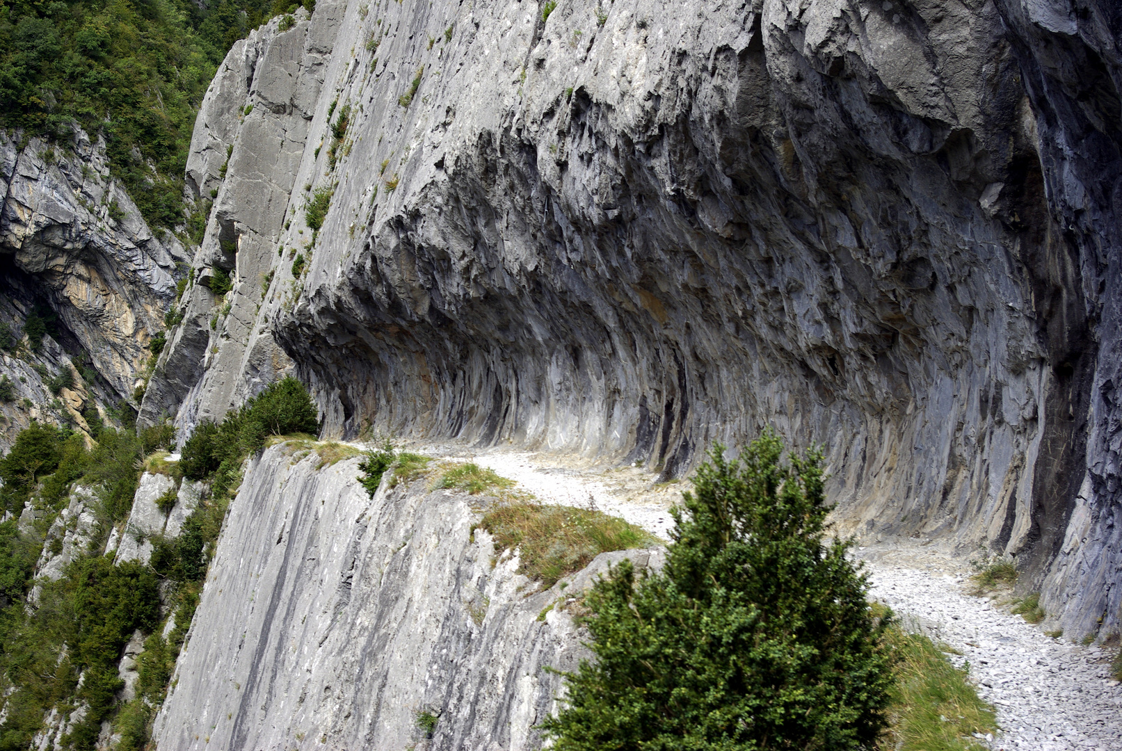 chemin de la mature (transports des mats)