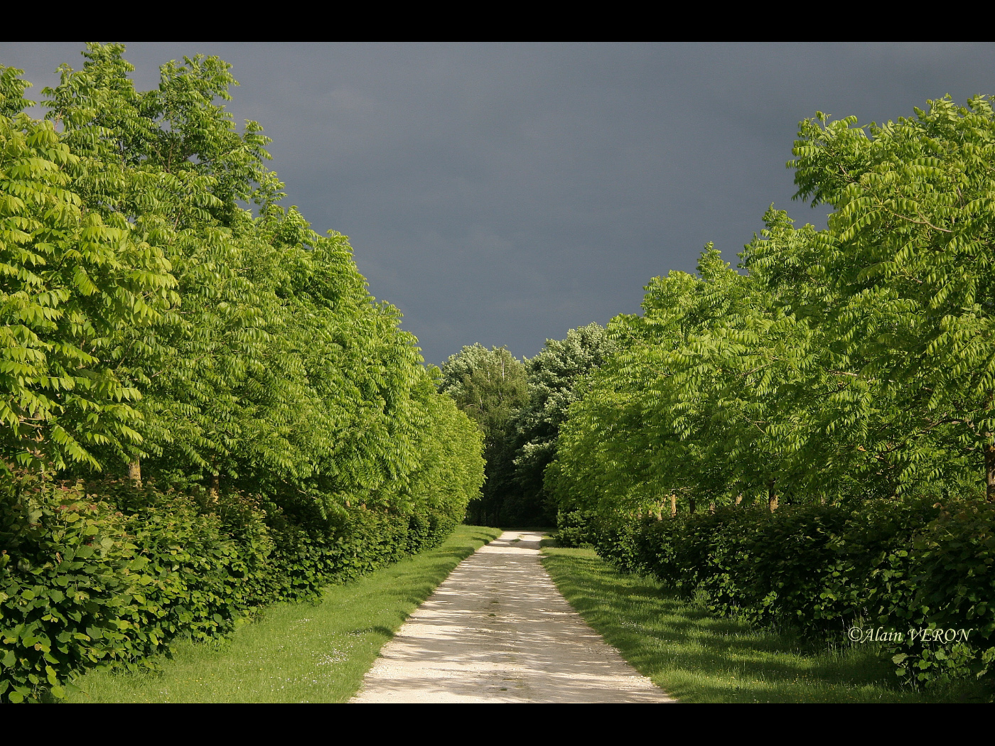 chemin de l'orage