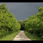 chemin de l'orage