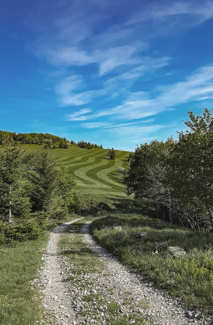 chemin de montagne