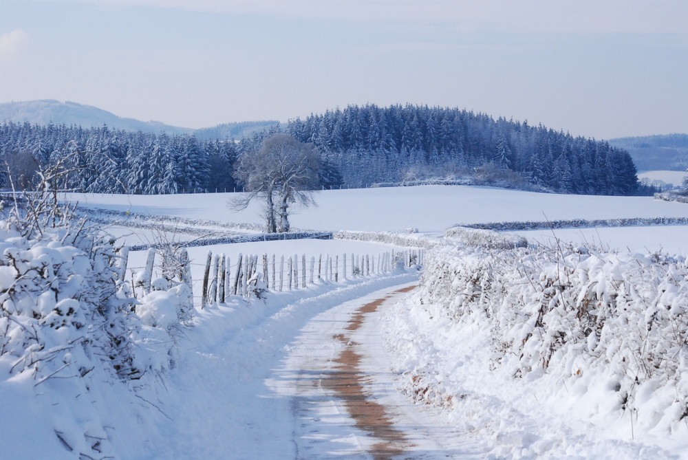 Chemin de promenade