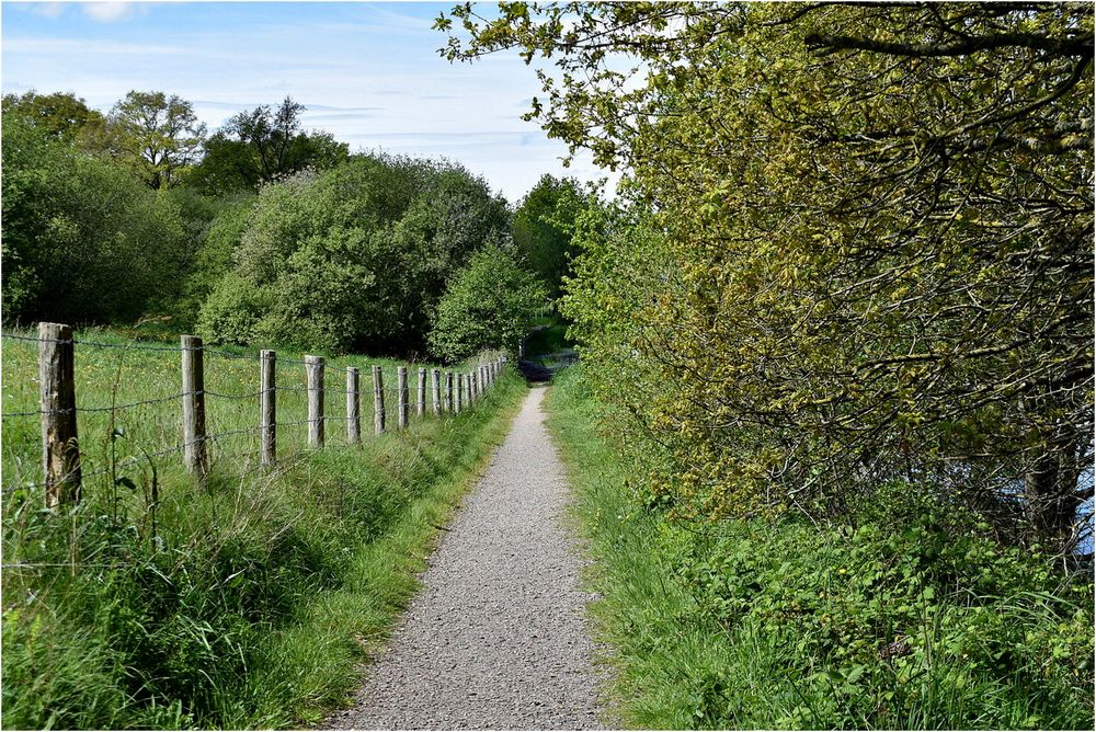 chemin de randonnée