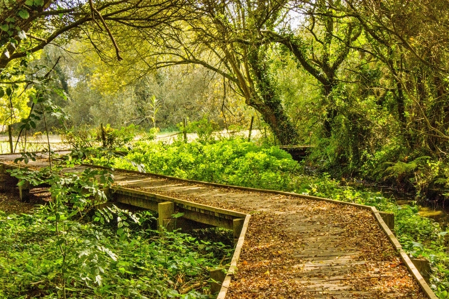 chemin de randonnée dans le marais à Larmor-Plage (Morbihan)