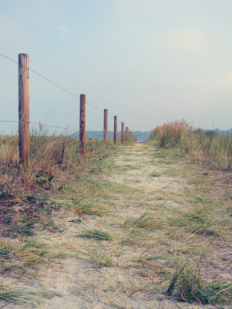 Chemin de randonnée près d'Hillion