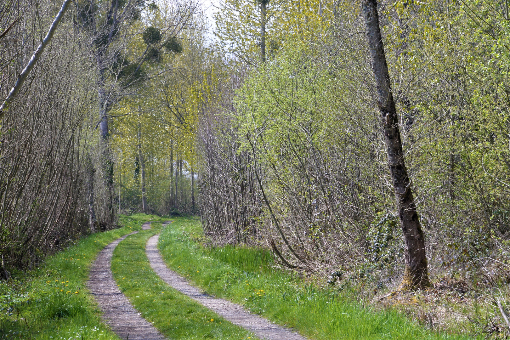 Chemin de traverse