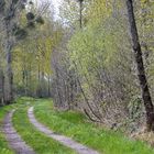 Chemin de traverse