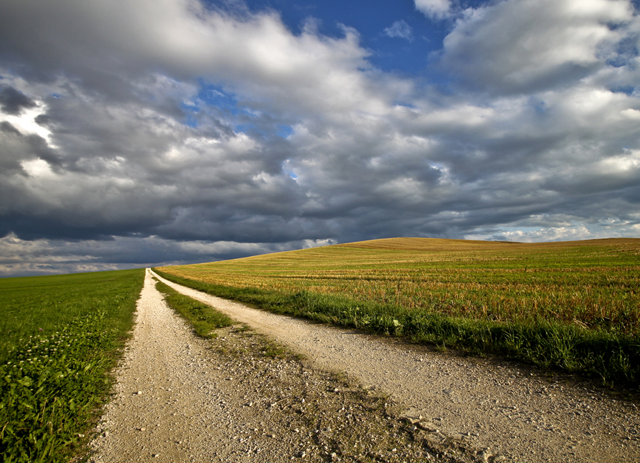 Chemin de vie