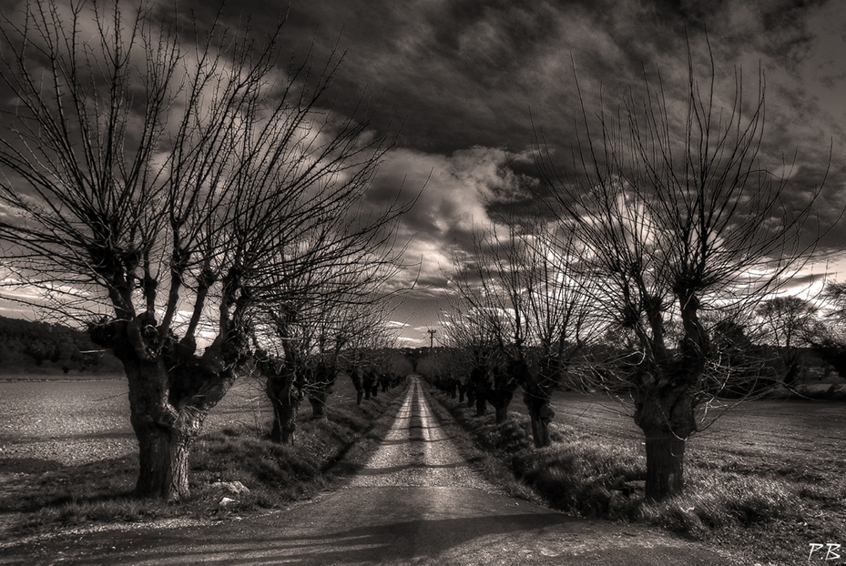 Chemin D'Hiver