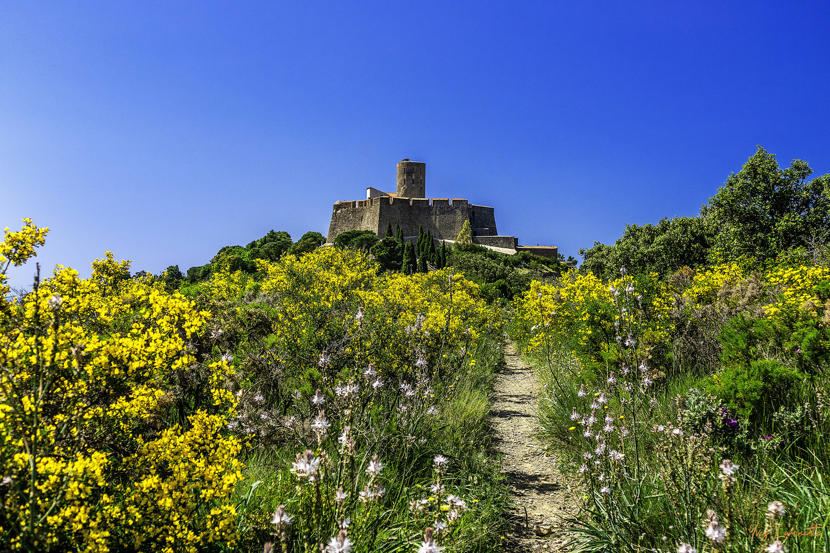 Chemin du fort