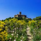 Chemin du fort