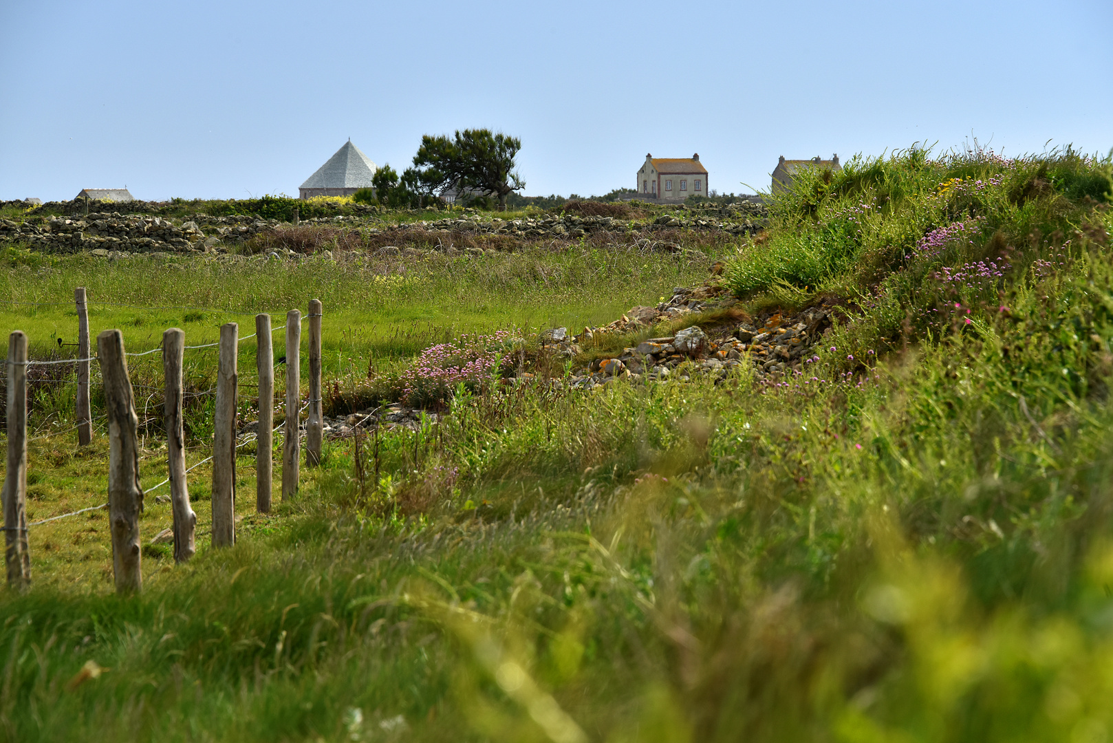 Chemin du littoral au soleil02