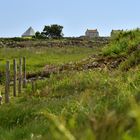 Chemin du littoral au soleil02