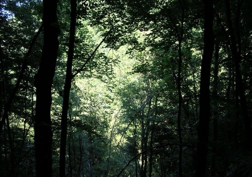 Chemin du Moulin en Auvergne