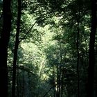 Chemin du Moulin en Auvergne