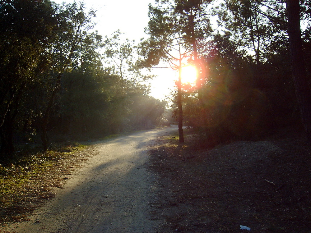 chemin du phare