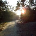 chemin du phare