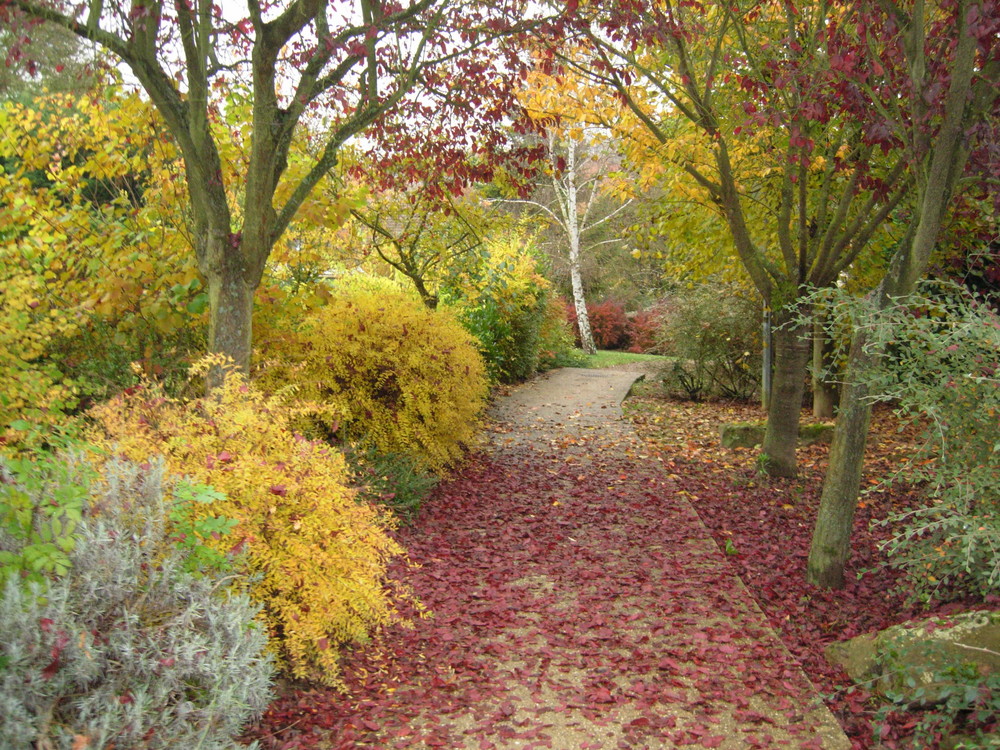 Chemin du Vexin Français en Automne