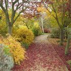 Chemin du Vexin Français en Automne