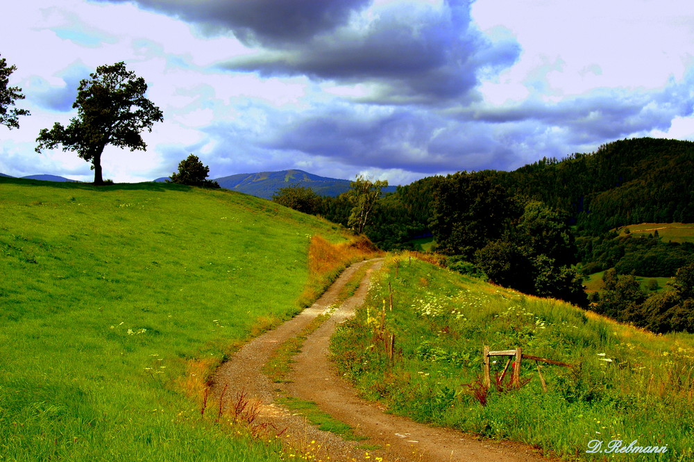 Chemin d'un rêve.