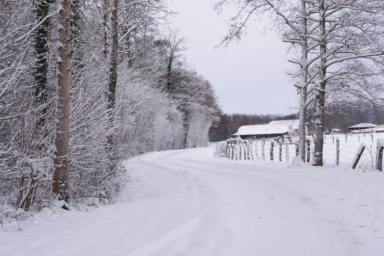 Chemin enneigé