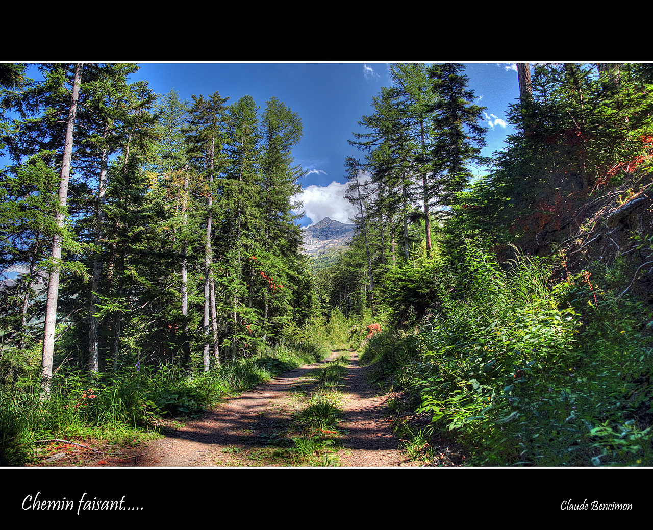 Chemin faisant.......