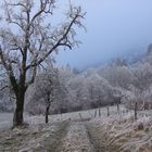 Chemin faisant