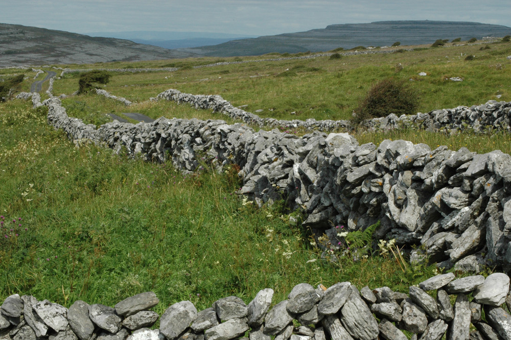 Chemin Irlandais