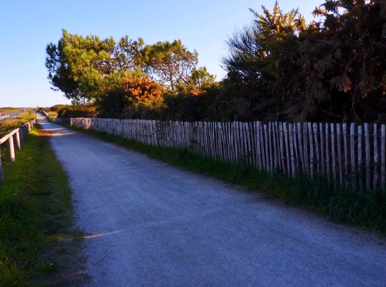 Chemin qui longe la côte entre Kerroch et Guidel-Plages