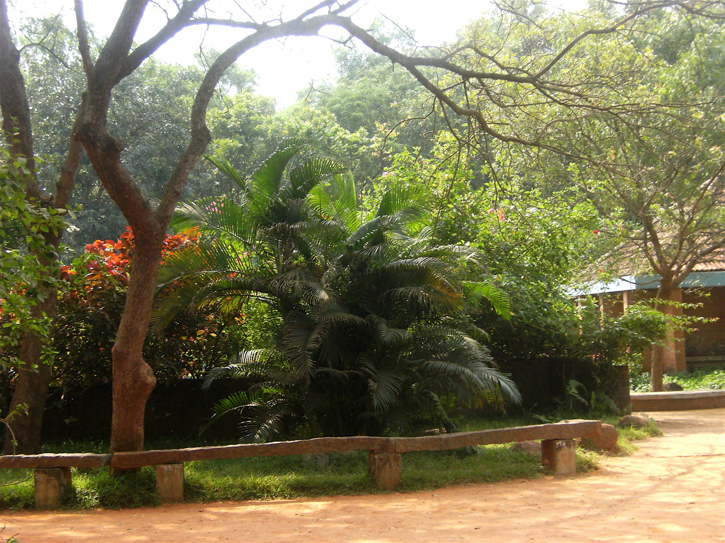 Chemin qui mène au jardin d'enfants ...  Kindergarten