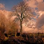 Chemin rural