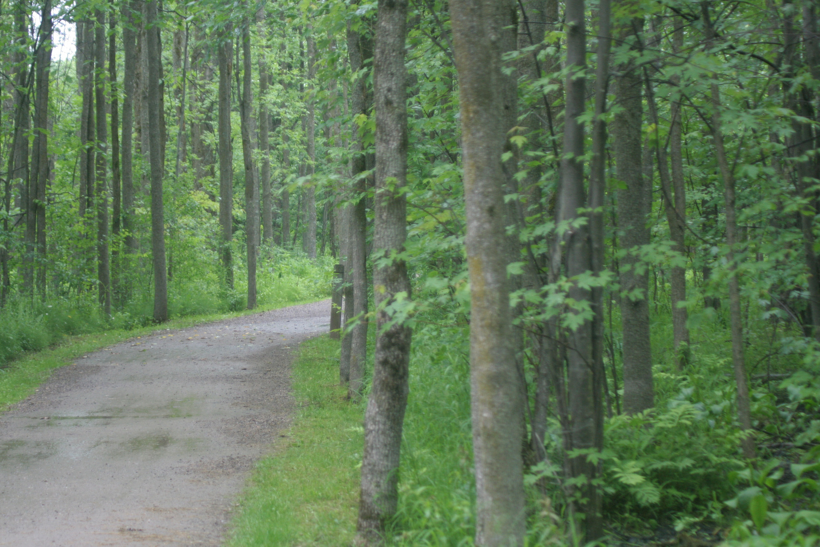 Chemin Tranquille