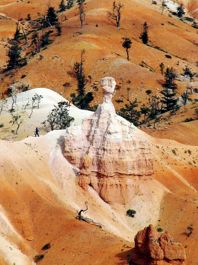 Cheminée de fée à Bryce Canyon