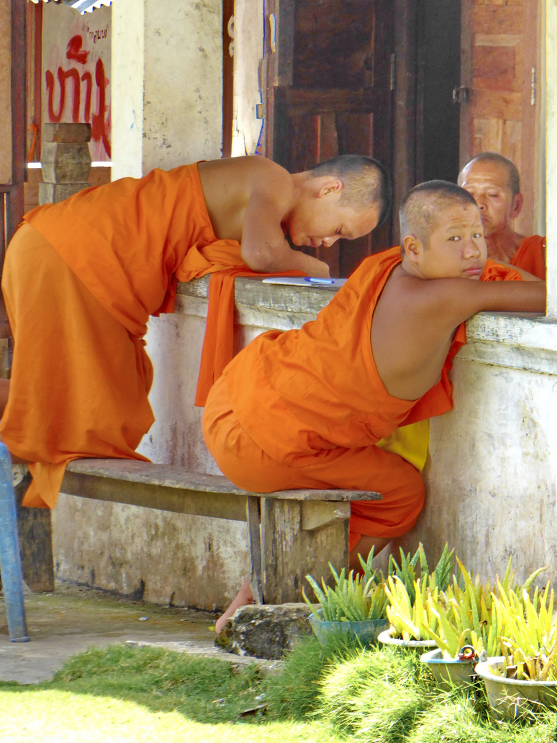 CHEMINS DU LAOS - détante des moines