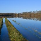 Chemins inondés