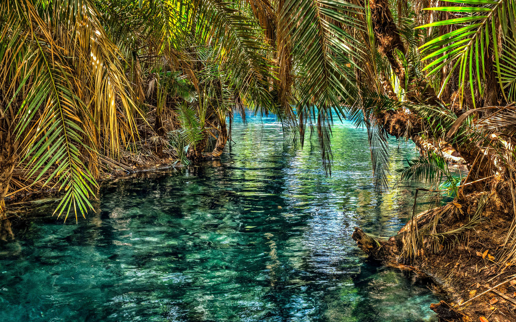 Chemka Hotsprings 2