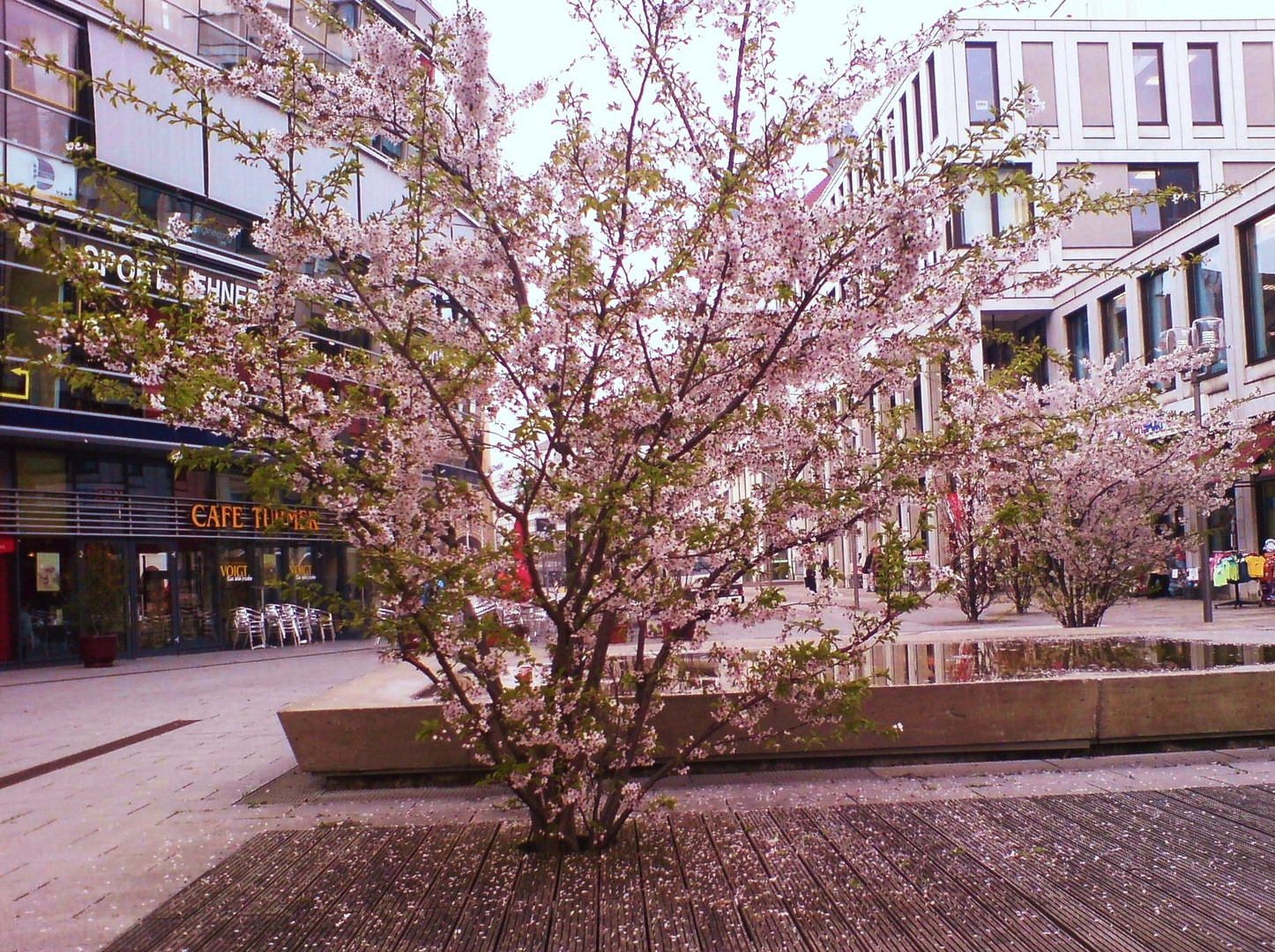 Chemnitz im Frühling