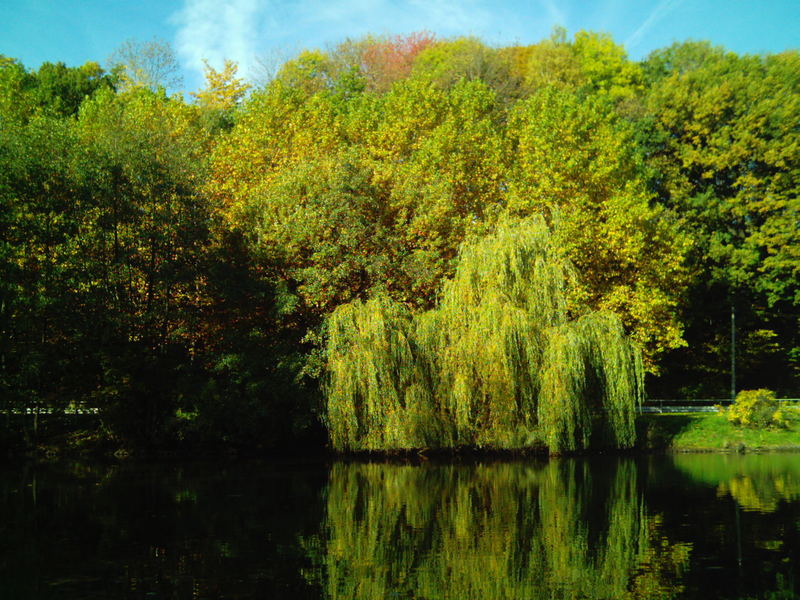 Chemnitz im Herbst