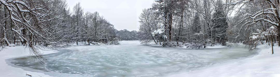 Chemnitz Winter Stadtparkteich