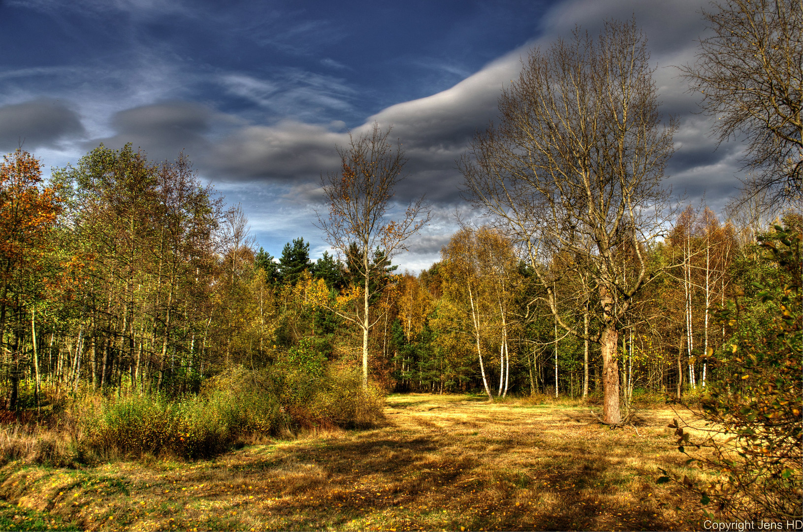 Chemnitz Zeisigwald (HDR1)