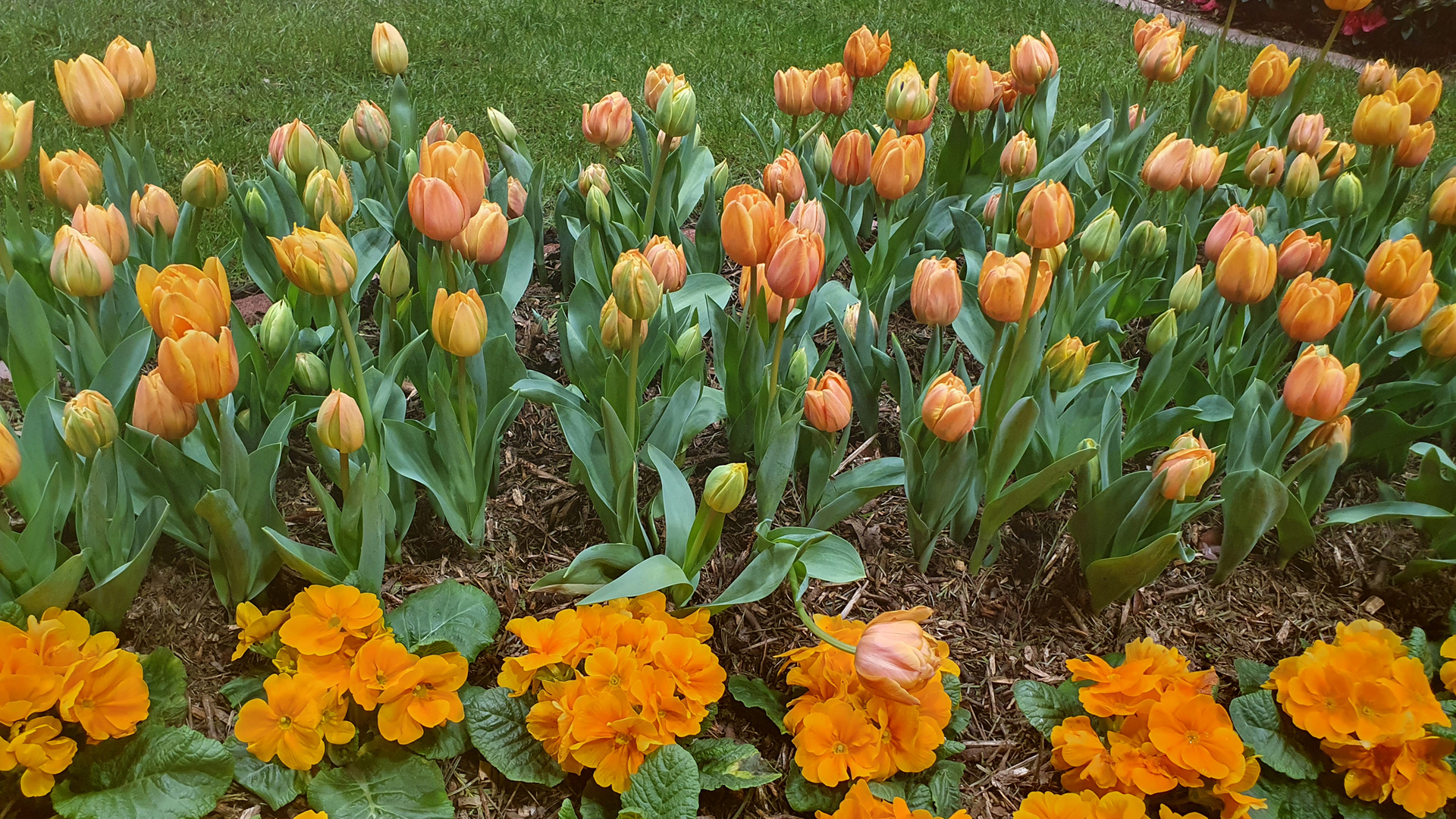 Chemnitzer Frühling (12)