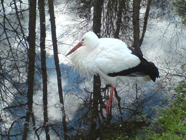 Chemnitzer Zoo