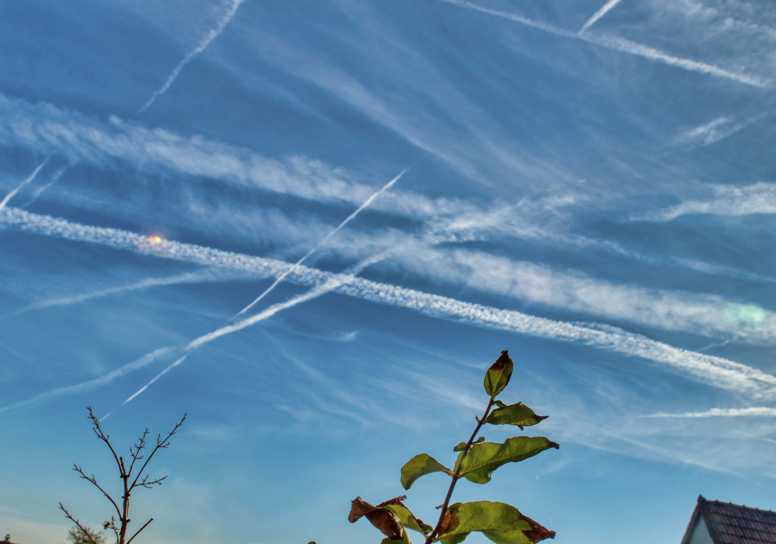 "Chemtrails" am Morgen