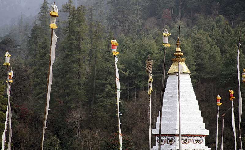 Chendibji Stupa 4