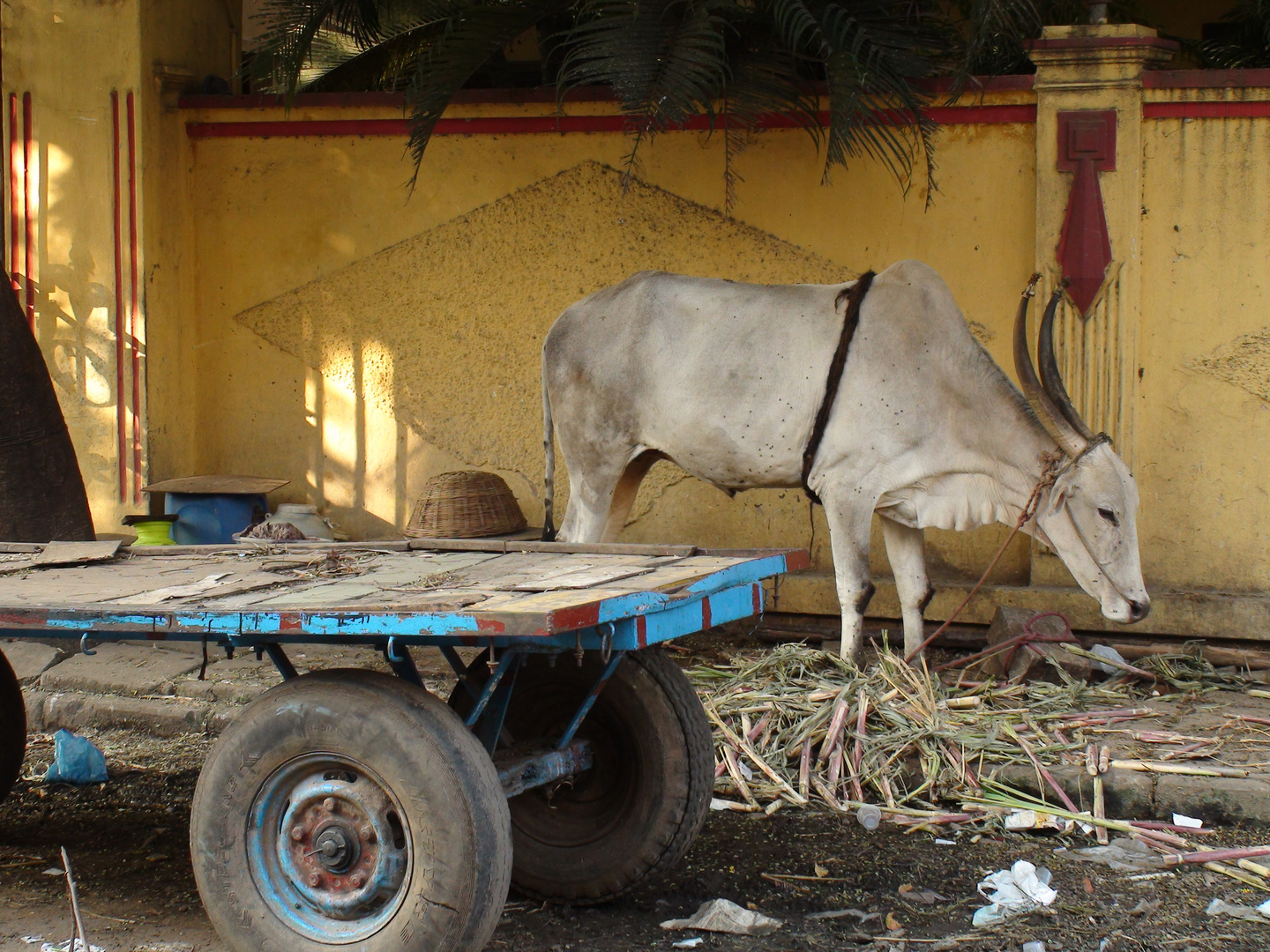 Chennai 3