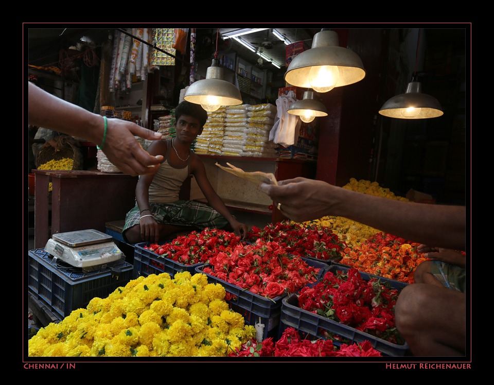 Chennai Flower Market I, Chennai, Tamil Nadu / IN