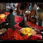 Chennai Flower Market II, Chennai, Tamil Nadu / IN