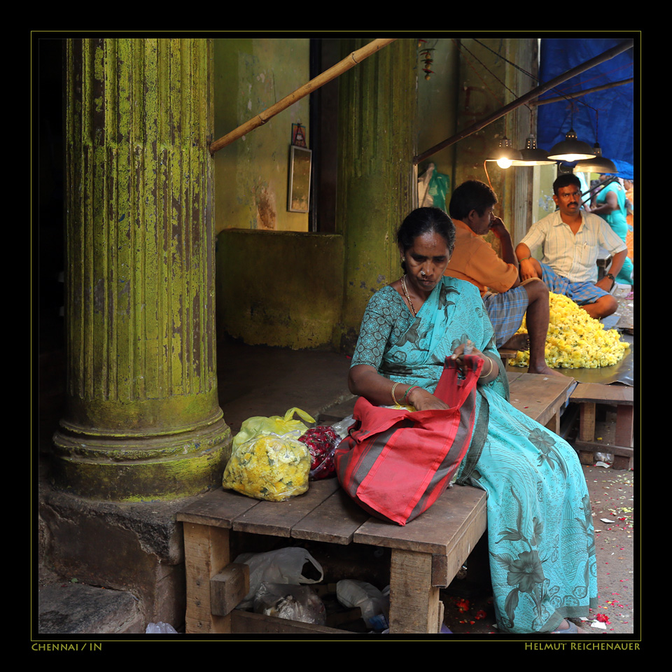 Chennai Flower Market III, Chennai, Tamil Nadu / IN