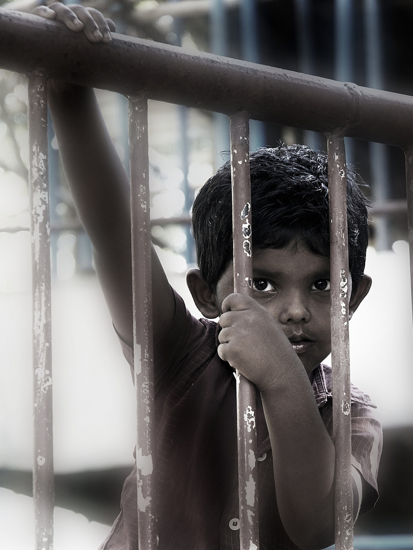 Chennai Kid